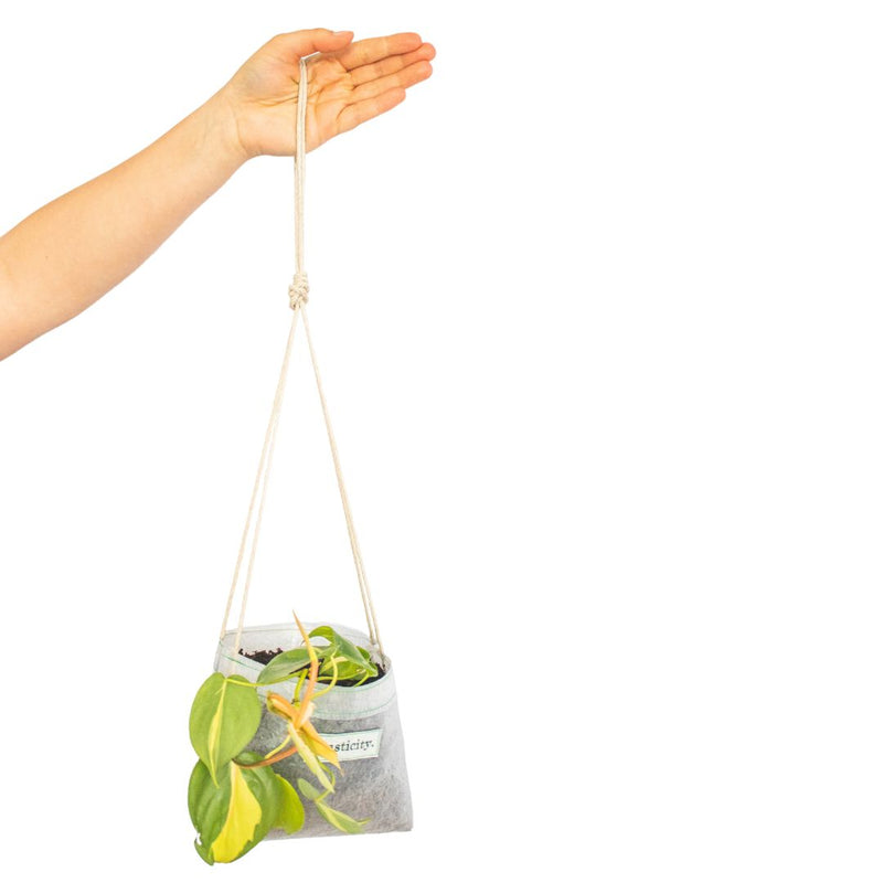 Water-resistant upcycled plastic hanging planter | Translucent